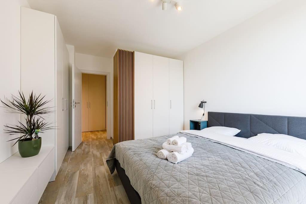 Luxury Apt. Near River & Parking ทิมิชัวรา ภายนอก รูปภาพ