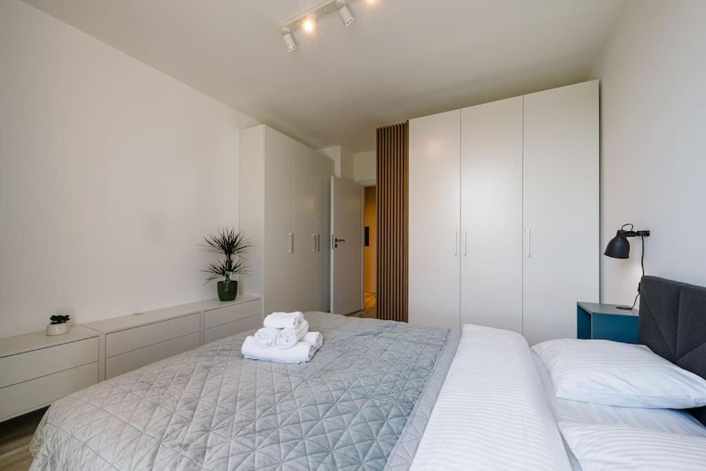 Luxury Apt. Near River & Parking ทิมิชัวรา ภายนอก รูปภาพ