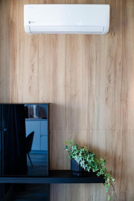 Luxury Apt. Near River & Parking ทิมิชัวรา ภายนอก รูปภาพ