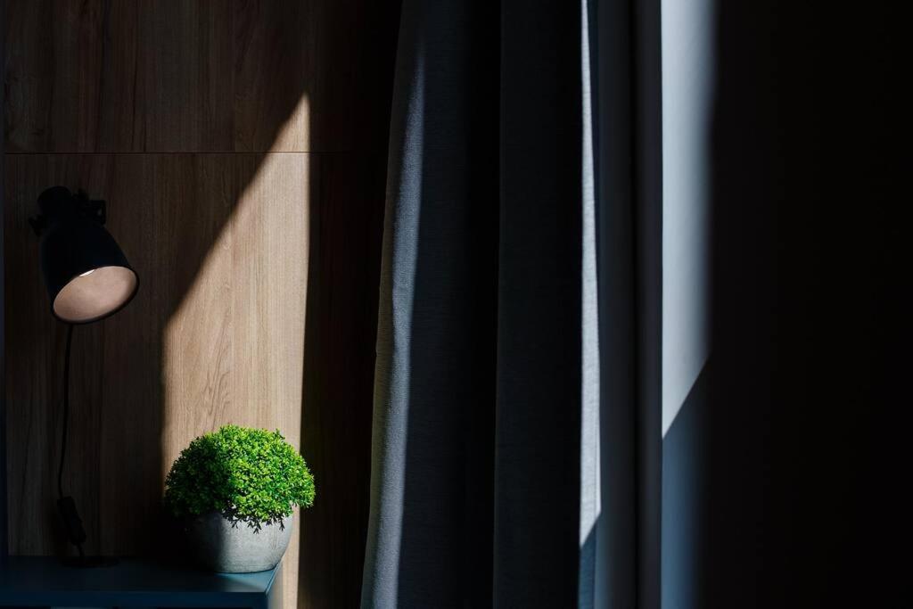 Luxury Apt. Near River & Parking ทิมิชัวรา ภายนอก รูปภาพ